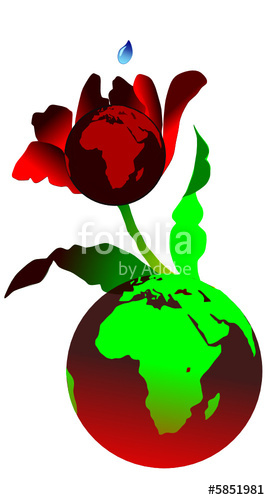 1564662219768.png