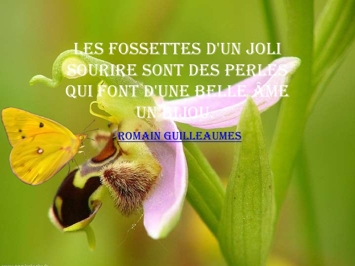 1565007010308.png