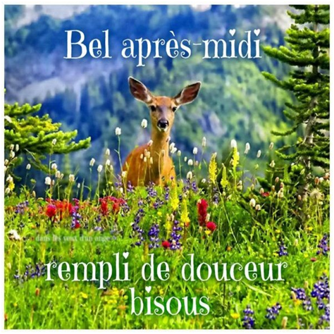 1565694452667.png