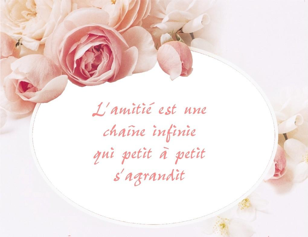 1582095289805.png