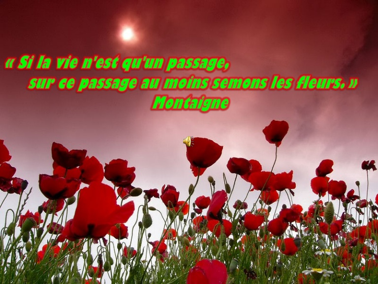 1602517598798.png