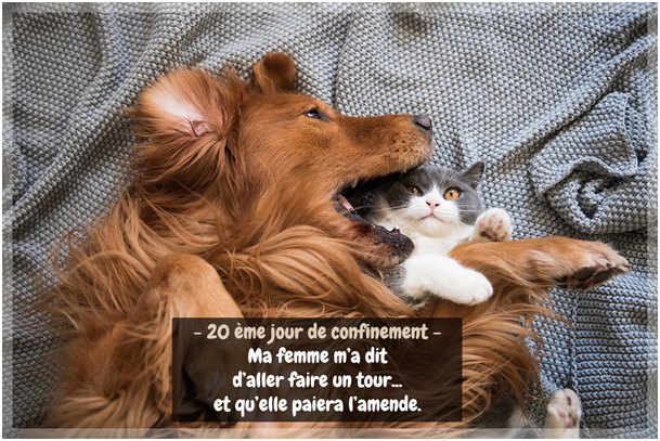 1604863151341.png