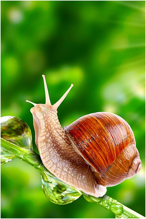 1605363458333.png