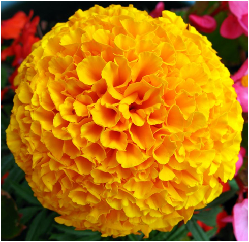 1605542044208.png
