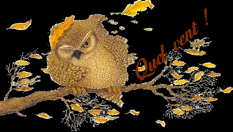 1605805802432.png