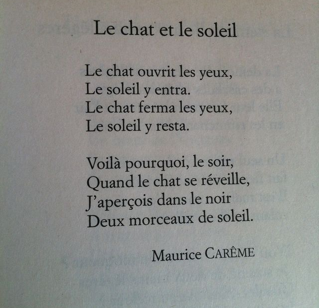 Poeme Le Chat De Maurice Careme Souvenir D Enfance Forum Poesie Et Ecriture Poemes Et Poetes Jepoemes Com