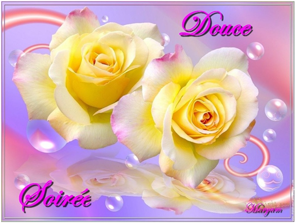 1637166980716.png