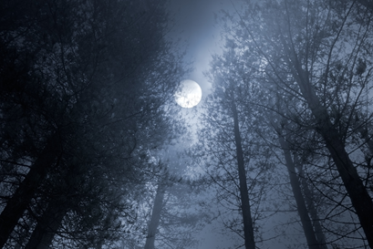 1641238179316.png