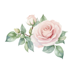 1750862426292.png