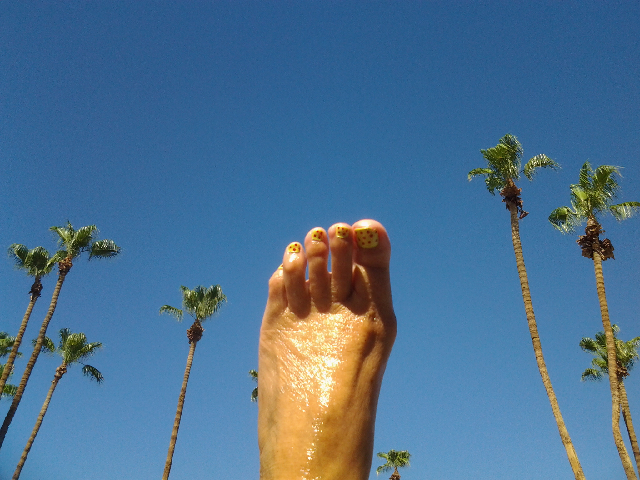 20150727_010556-1.jpg