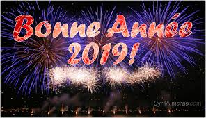 2019 bonne & heureuse année.jpg