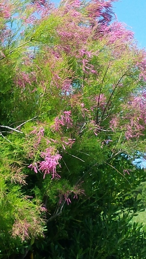 20190607_155838.jpg