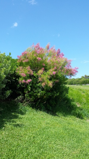 20190607_155847.jpg