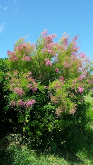20190607_155922.jpg