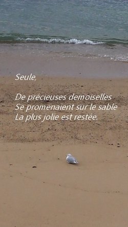 20190923_170958+texte.jpg