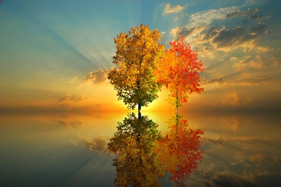 20191027_autumn.jpg