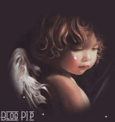 23012011pip.gif