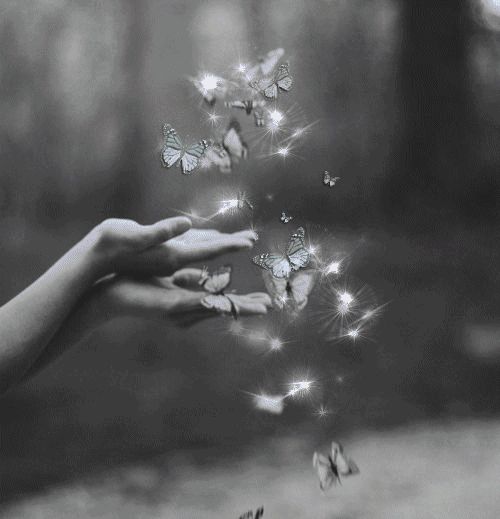25af4ec7c84a089a405afb180e1736d8--butterfly-kisses-butterflies.jpg