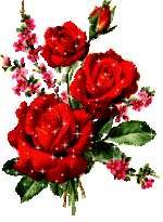 4.gif