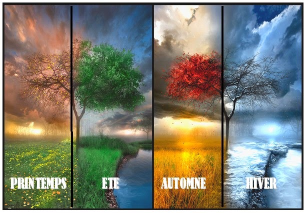 4 Saisons de l'année.jpg