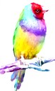 42774320-acuarela-aves-exóticas-aislado-en-fondo-blanco-ilustración-vectorial.jpg