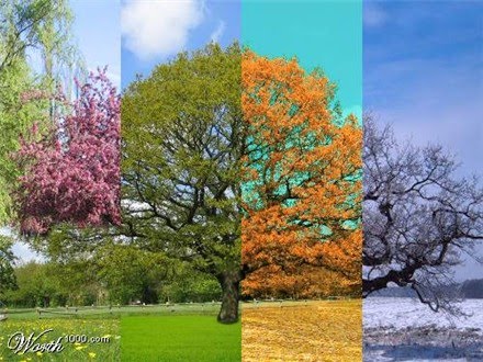 4saisons-3.jpg
