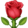 55.png