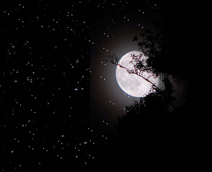 63c2806a.gif