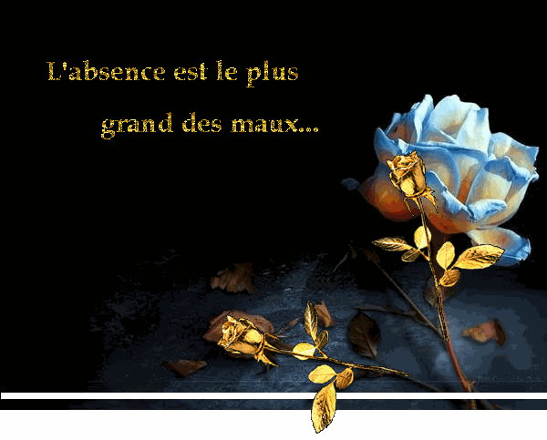 7394_t.gif