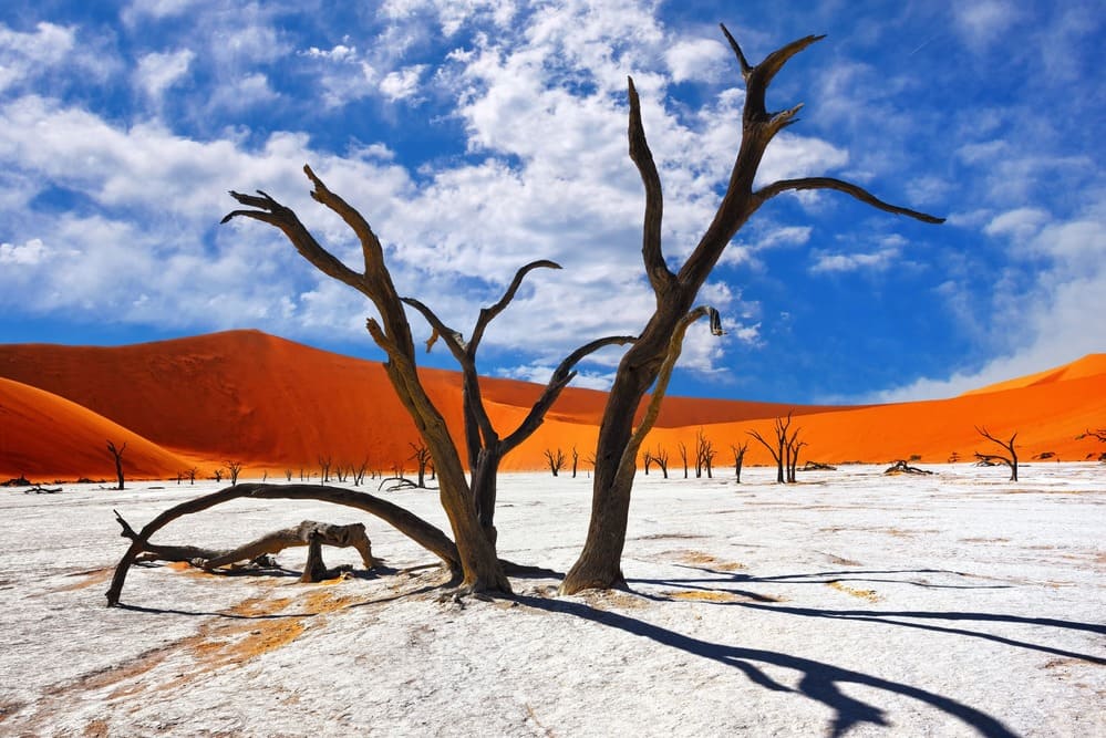 74 deadvlei-sossusvlei-namibie.jpeg
