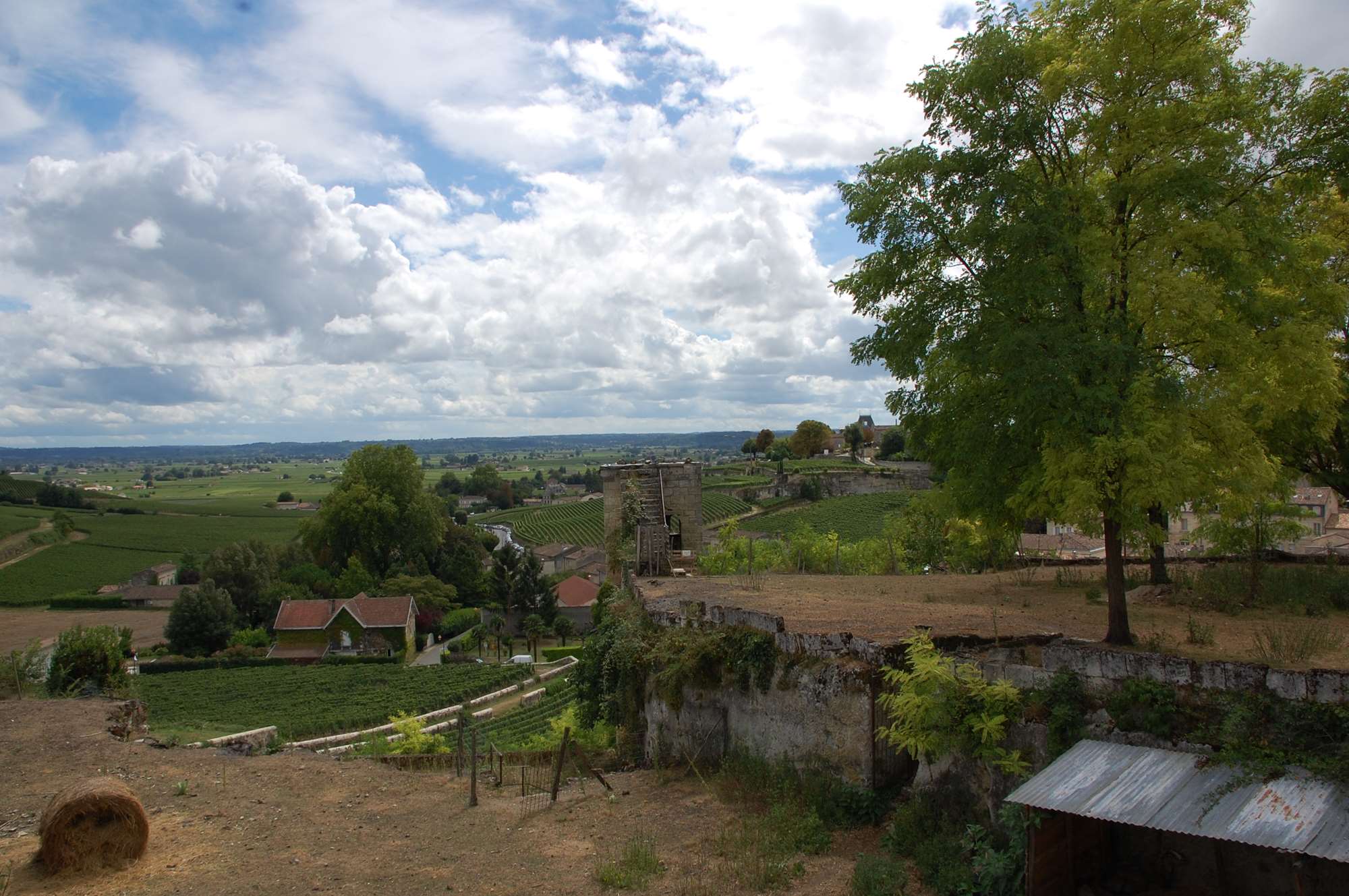_copie-0_DSC_0058.jpg