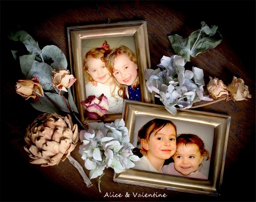 Alice & Valentine -1D.jpg