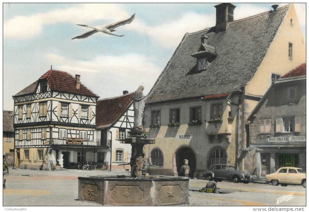 Alsace cigogne.jpg