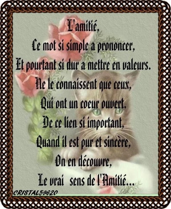 Amitié 2.jpg
