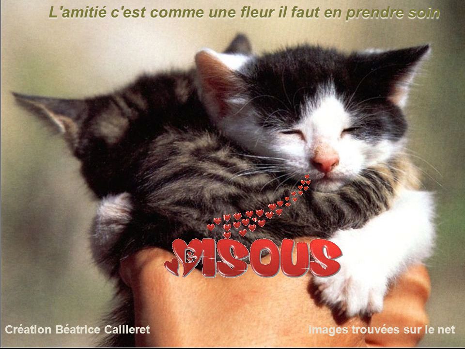 Amitié 22.jpg