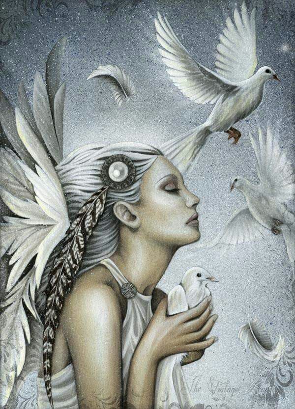 anges et colombes.jpg