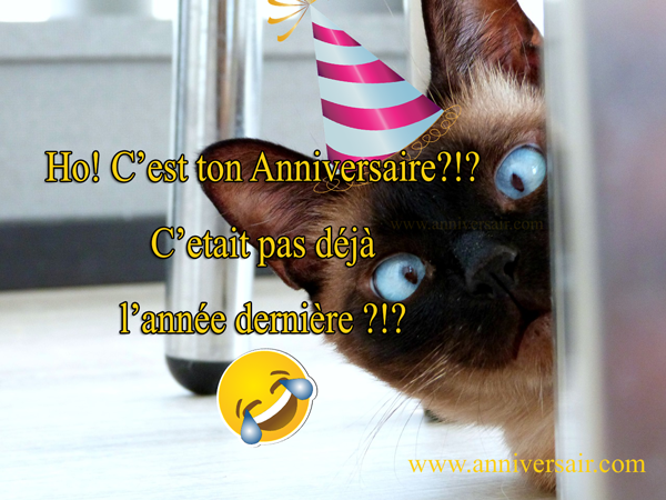 anniversair-humour-chat-anniversair.png