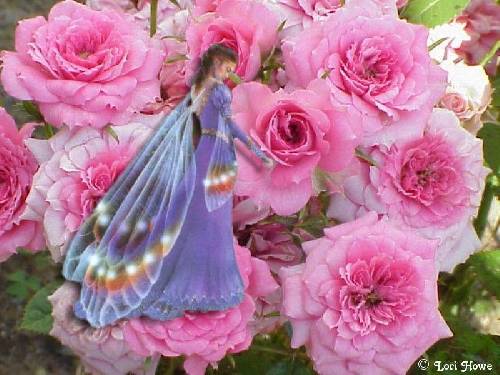 artimage_361304_2353662_201004225933228.jpeg