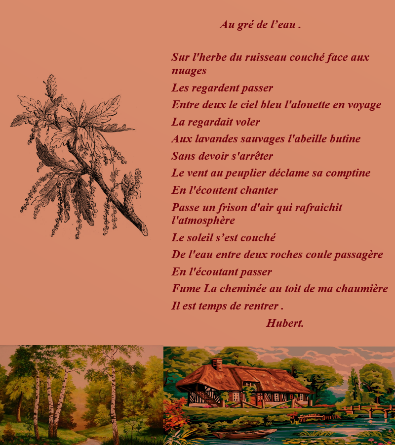 Au gré de l'eau !.png