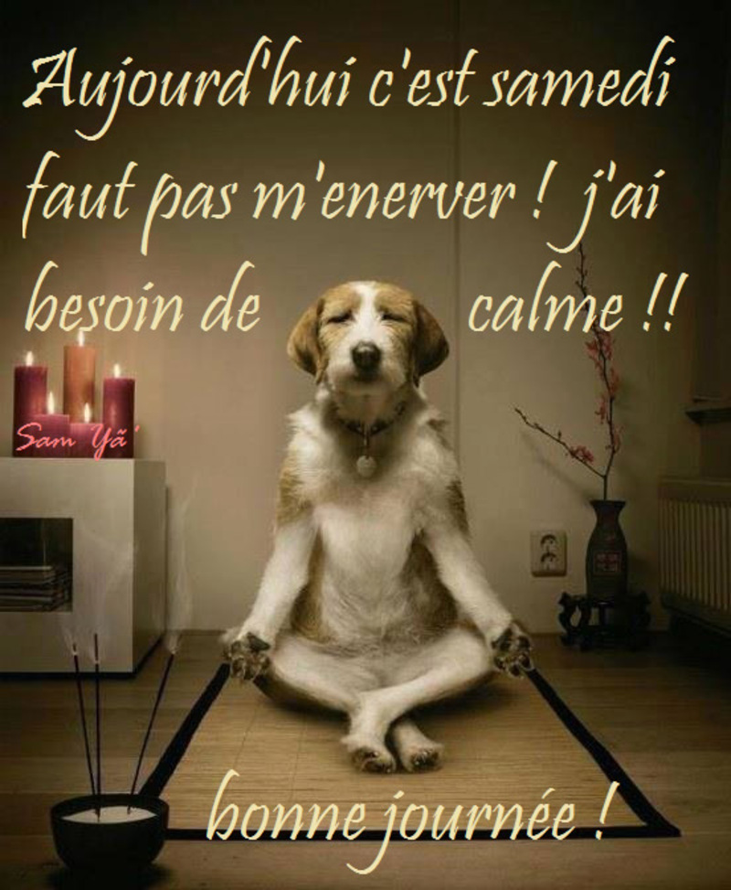 Aujourd'hui Samedi.jpg