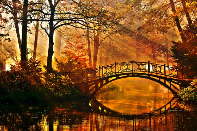 automne 22.jpg