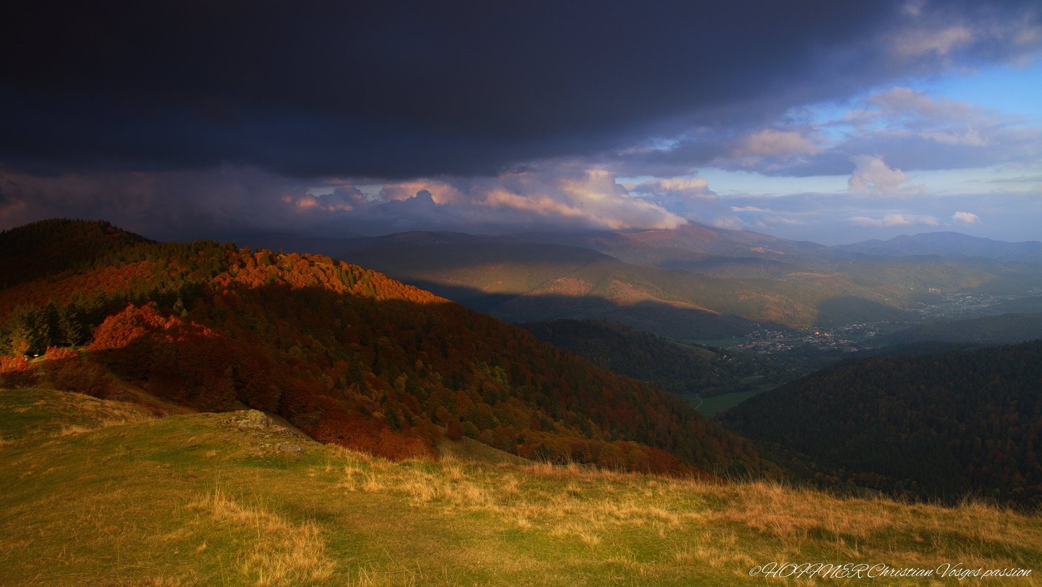 automne C. Hoffner.jpg