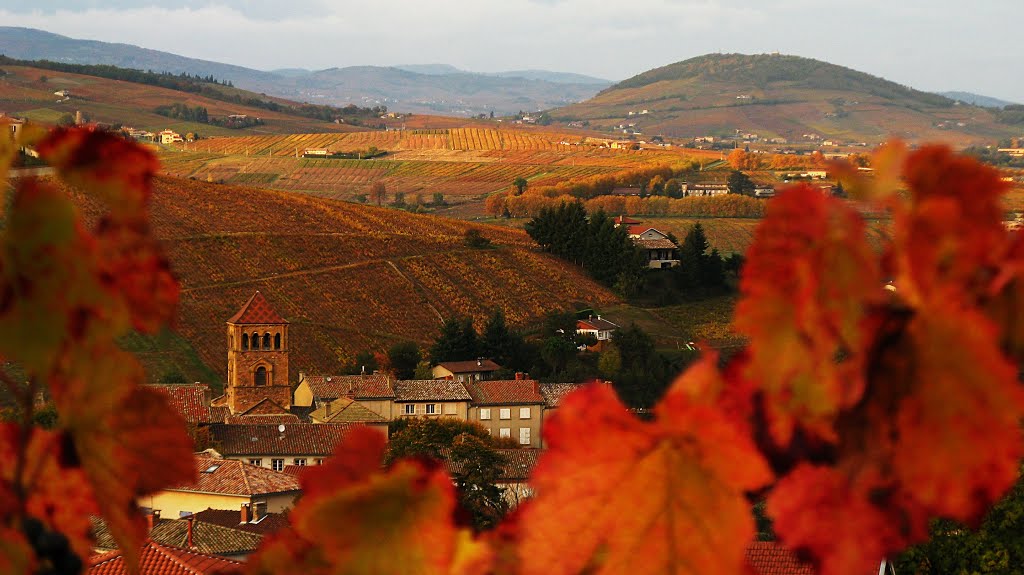 Automne en Beaujolais.jpg