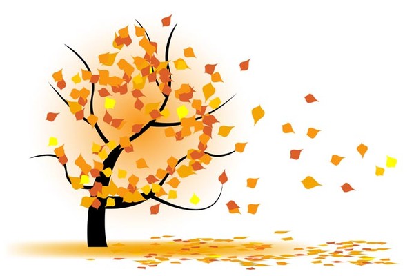 automne.jpg