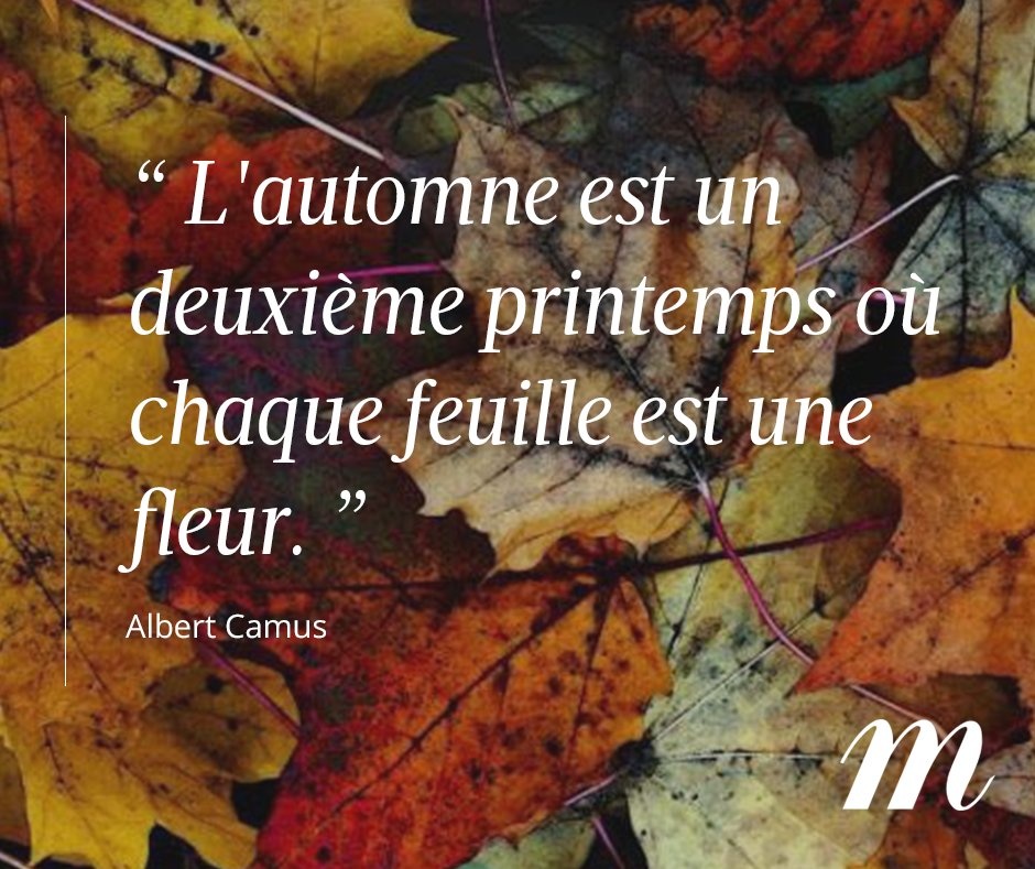 Automne + petit texte.jpg