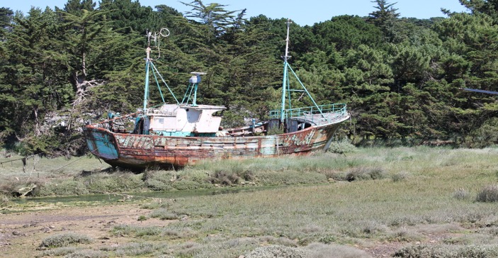 bateau.jpg