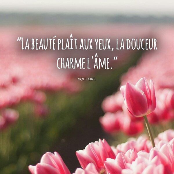 beaute.jpg