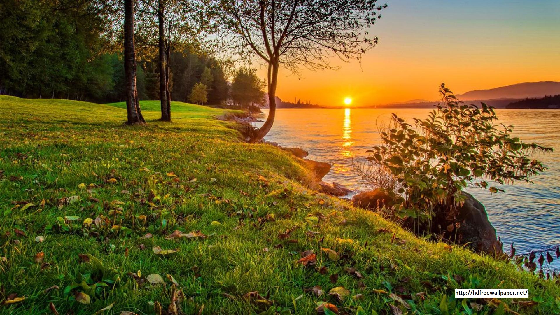 beautiful-view-in-morning[1].jpg