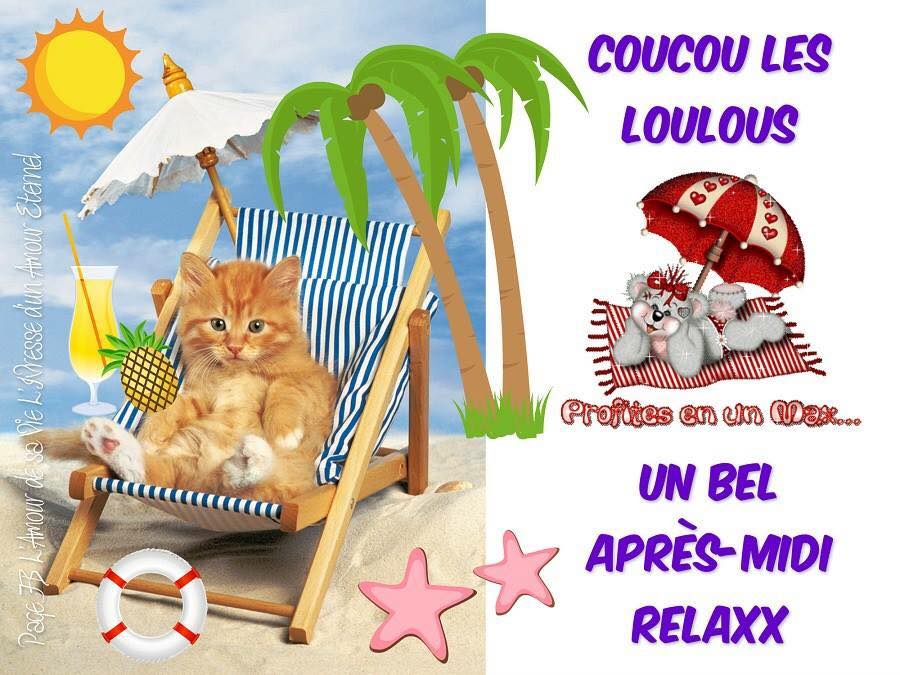 Bel après midi      coucou relax.jpg
