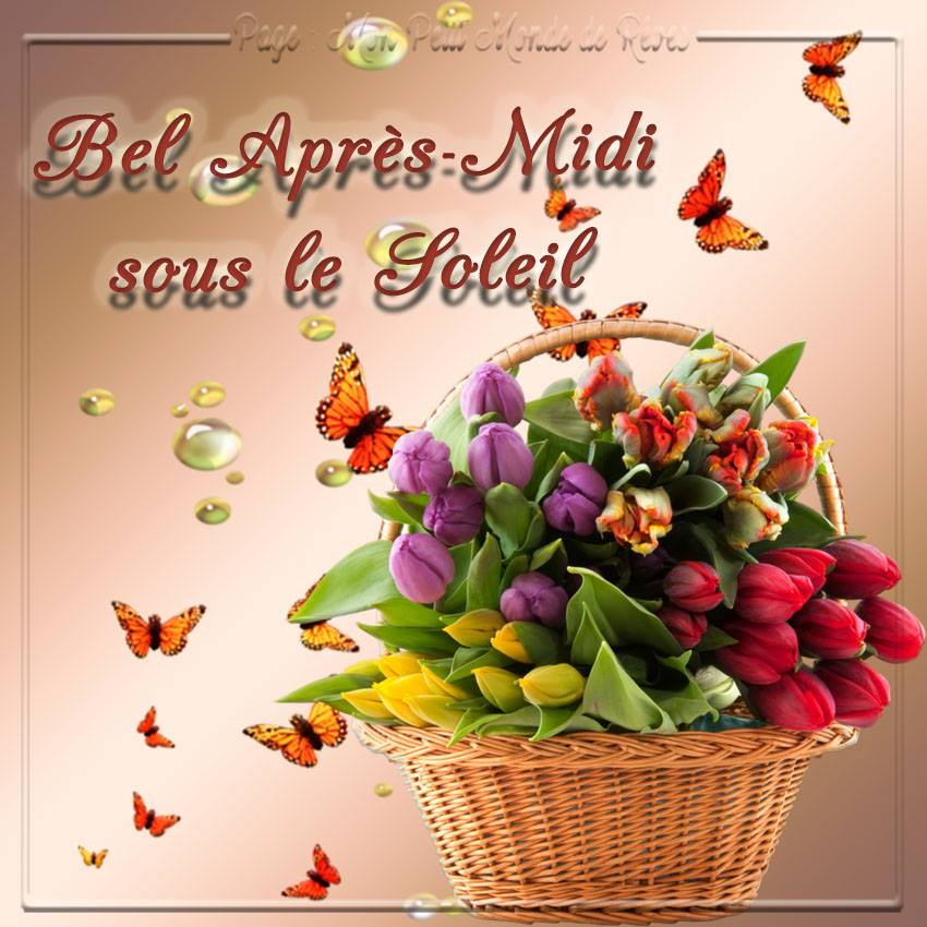 Bel après.midi        soleil.jpg